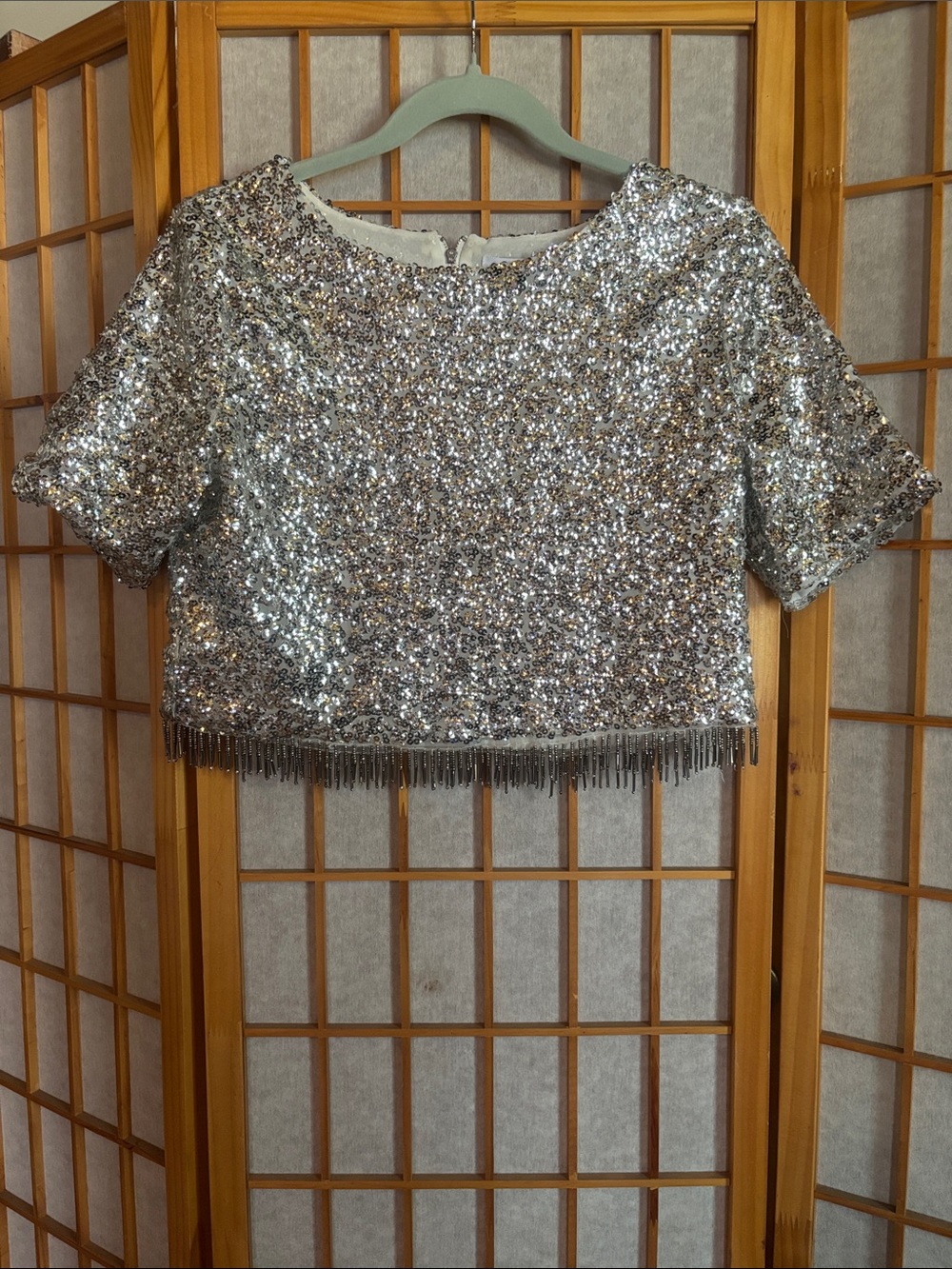 Glamorous Silver Sequin Crop Top with Fringe